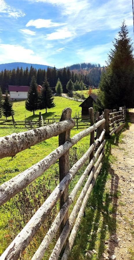 Eden Natural Resort - Transalpina Capalna Exterior foto